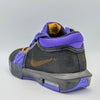 EUR 40 Nike Lebron Witness 8 Lakers Black/Field Purple (FB2239-001)